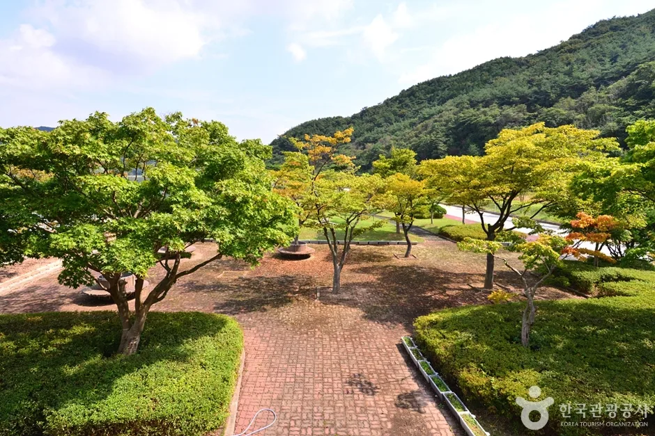 불갑저수지 수변공원 (17)