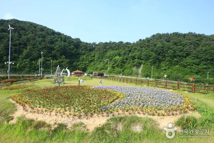 불갑저수지수변공원
