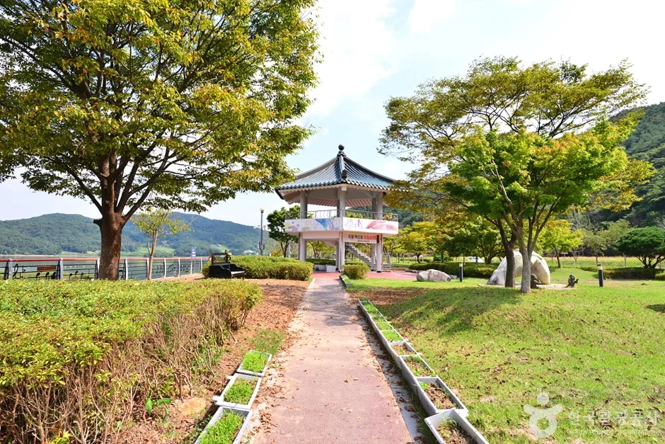 불갑저수지 수변공원 (12)