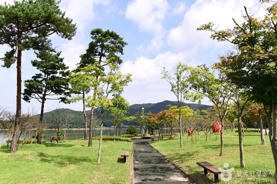 불갑저수지 수변공원 (10)