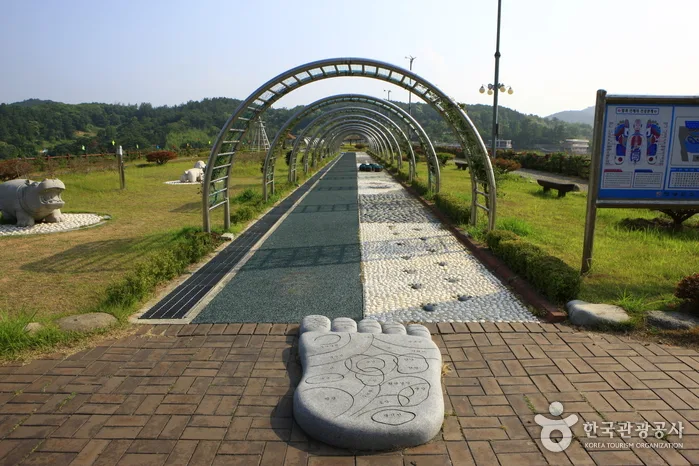 불갑저수지 수변공원 (8)