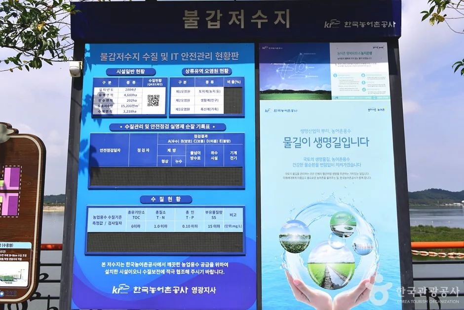 불갑저수지 수변공원 (22)
