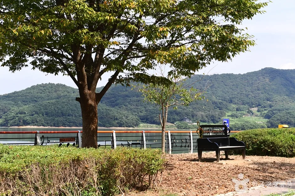 불갑저수지 수변공원 (16)