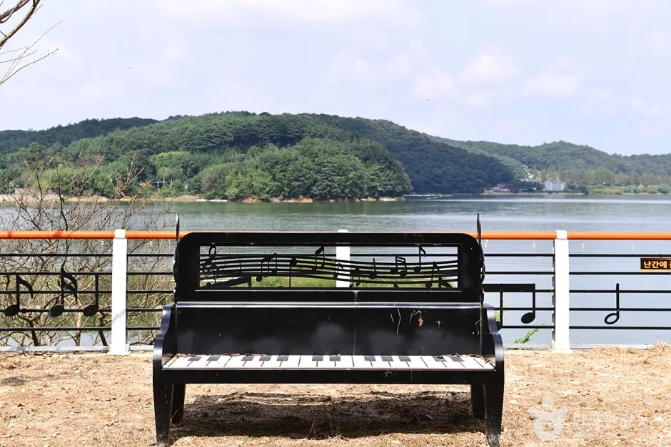 불갑저수지 수변공원 (6)
