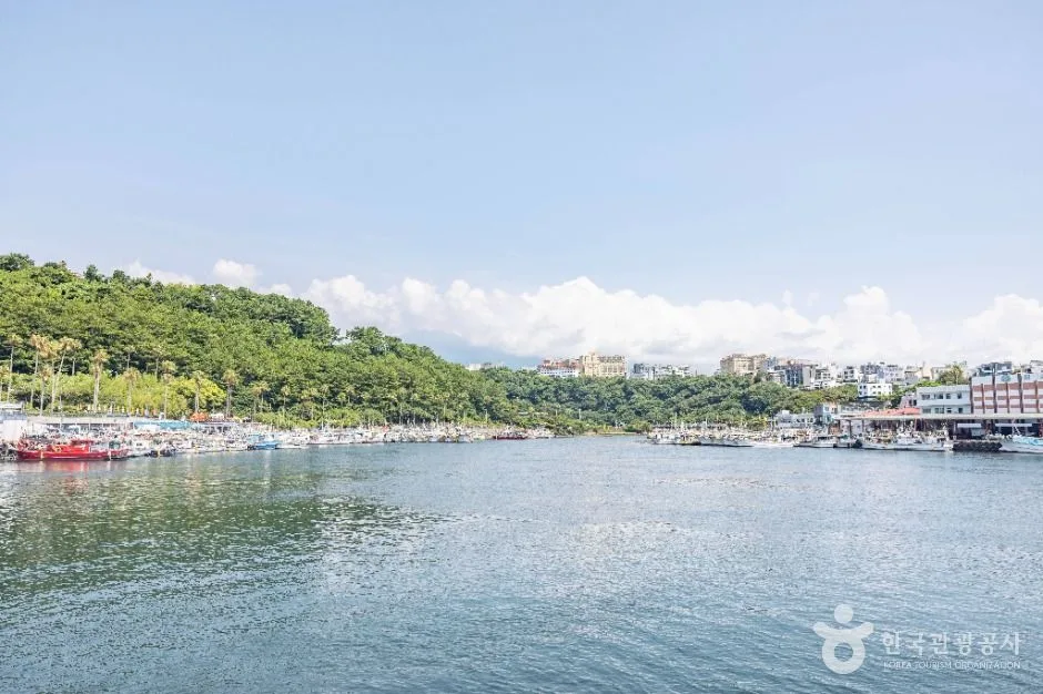제주_서귀포항 (3)