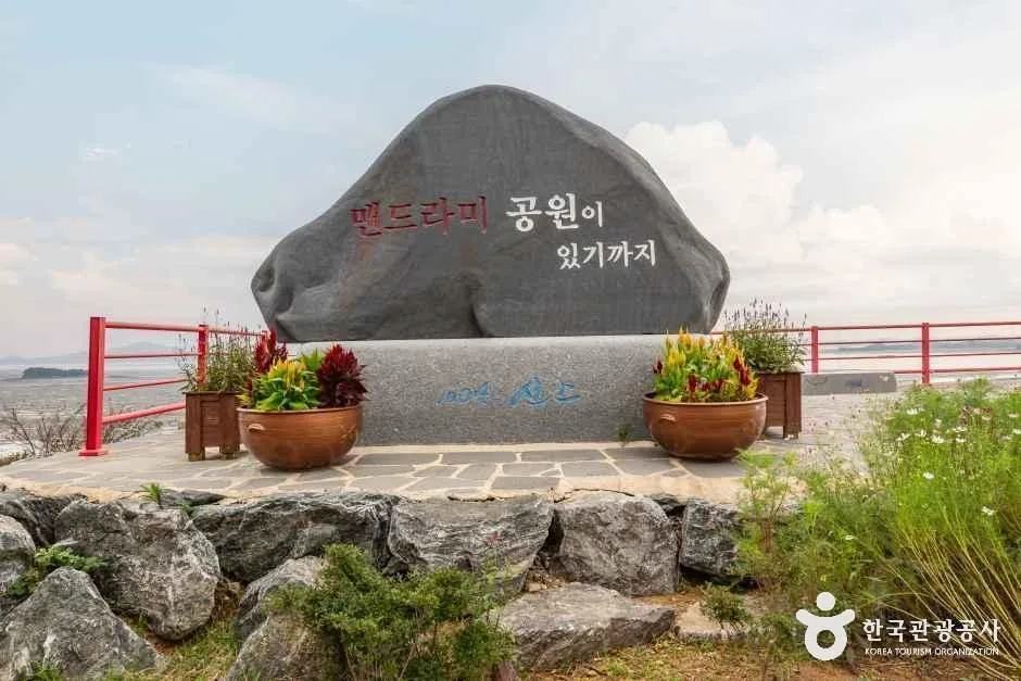 신안_맨드라미정원 (10).jpg