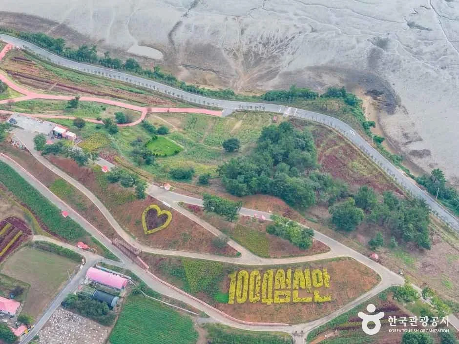 신안_맨드라미정원 (9).jpg