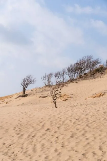 인천 굴업도 가는법 배편 예약부터 개머리언덕 코끼리 바위 백패킹 총정리_굴업도_17