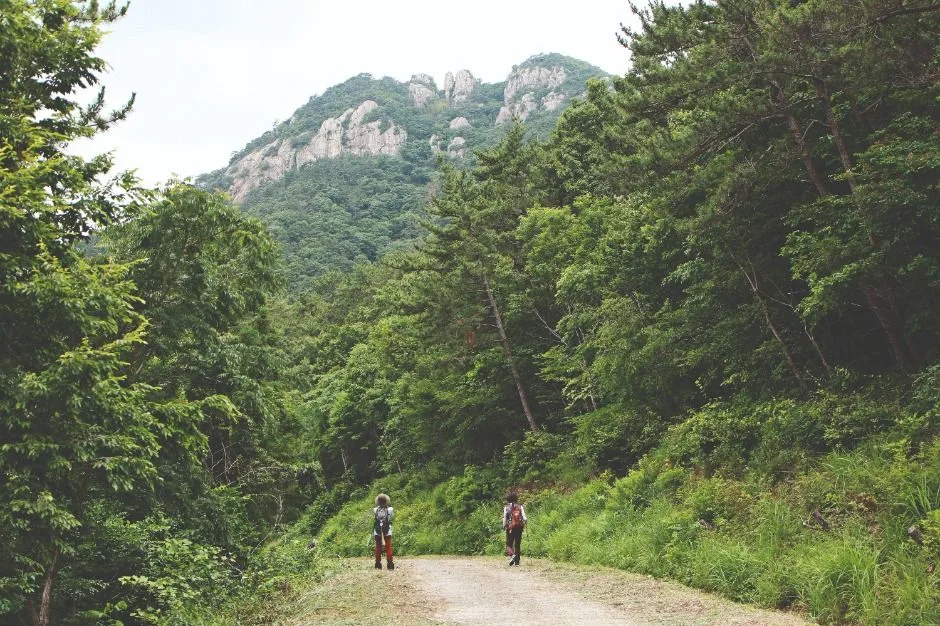 산방산(거제)