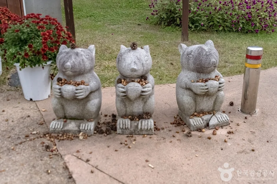 공작산생태숲 (12)_수타사