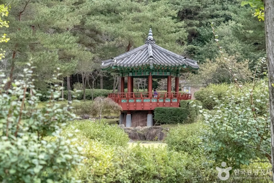 공작산생태숲 (14)