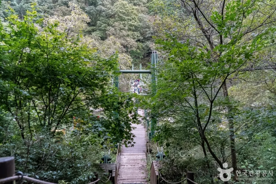 공작산생태숲 (16)