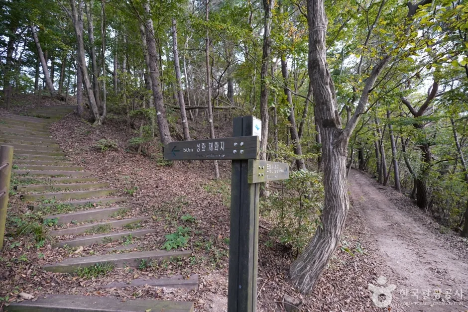토함산 (12)