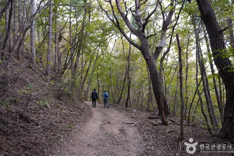 토함산 (4)