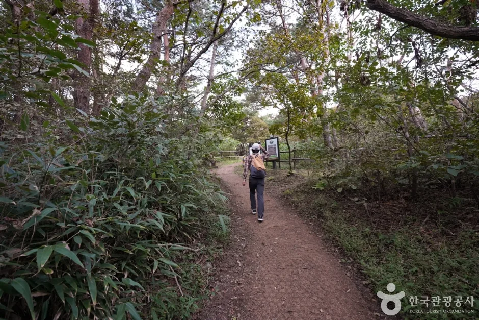 토함산 (7)