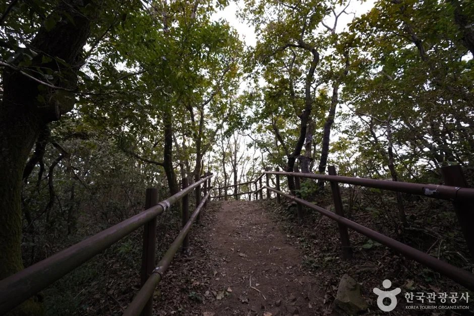 토함산 (5)