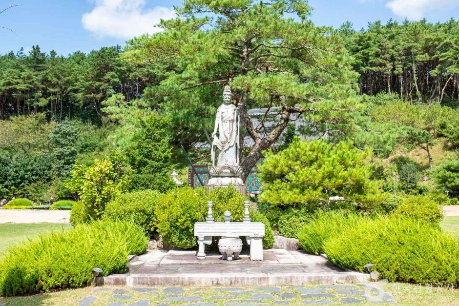 안동_유하사(안동) (2)