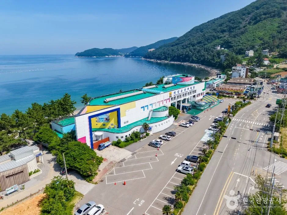 여수_돌산도 (5)