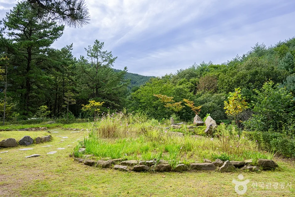 국립 운악산자연휴양림 (6)