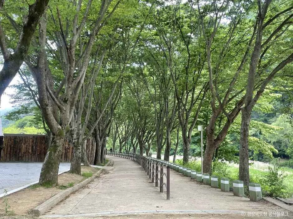 문경_문경새재도립공원 (4).jpg
