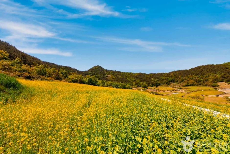 선학동 마을 (9)