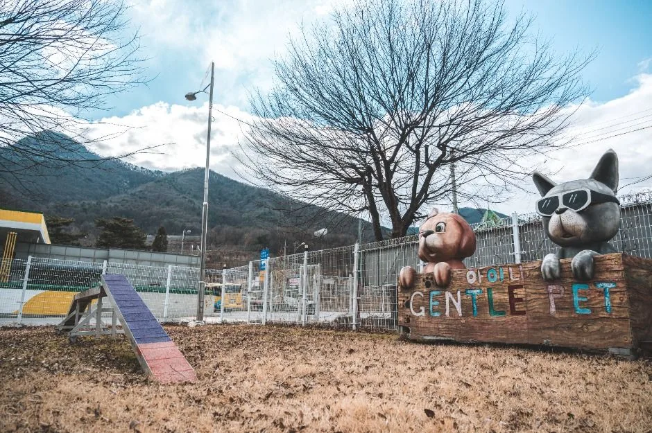 문경_문경새재 반려동물 힐링센터 (4)