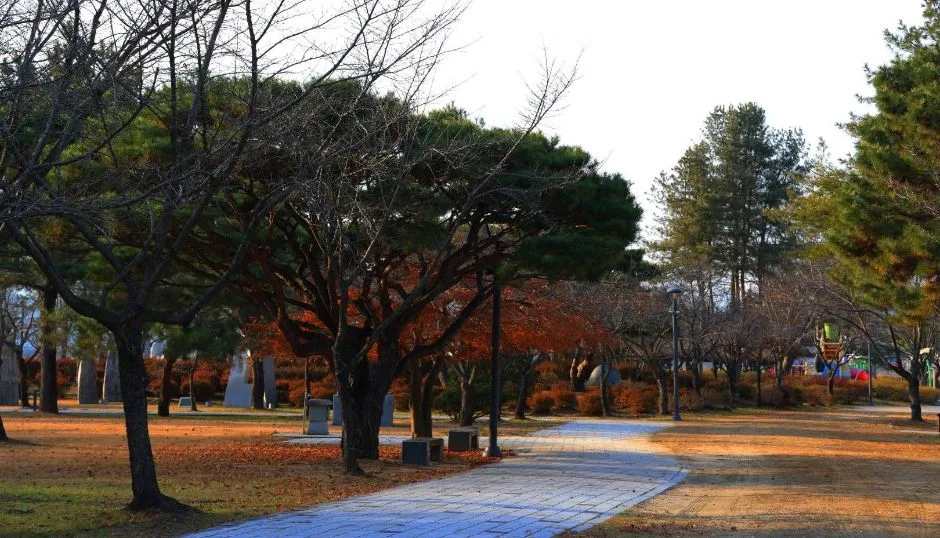 부여_백마강 친환경 자전거길 (1)