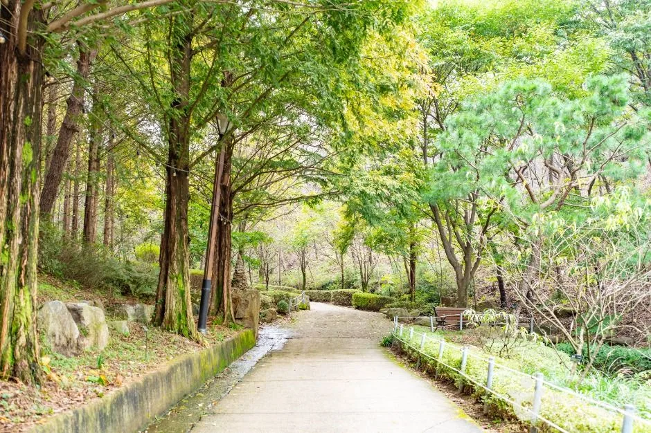 아산_아산 영인산자연휴양림 (4)