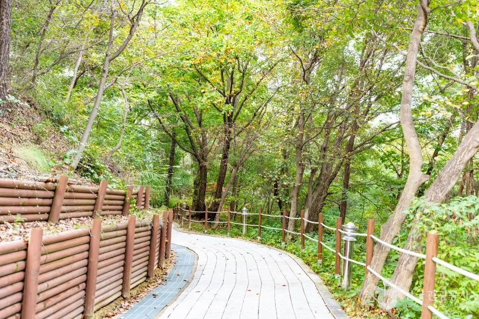 아산_아산 영인산자연휴양림 (5)