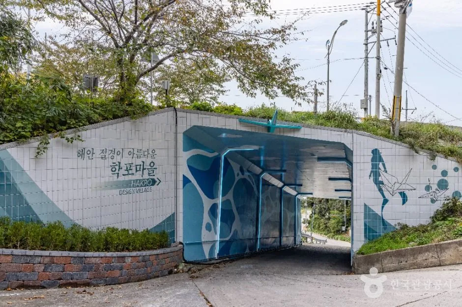 울릉_학포해안 (울릉도, 독도 국가지질공원) (7)
