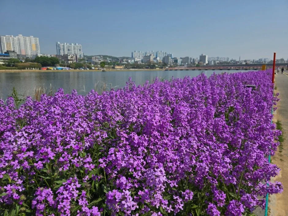 영천_영천생태지구공원 (5)