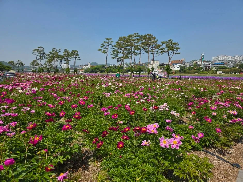 영천_영천생태지구공원 (6)