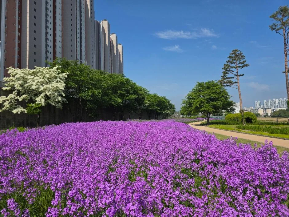 영천_영천생태지구공원 (3)