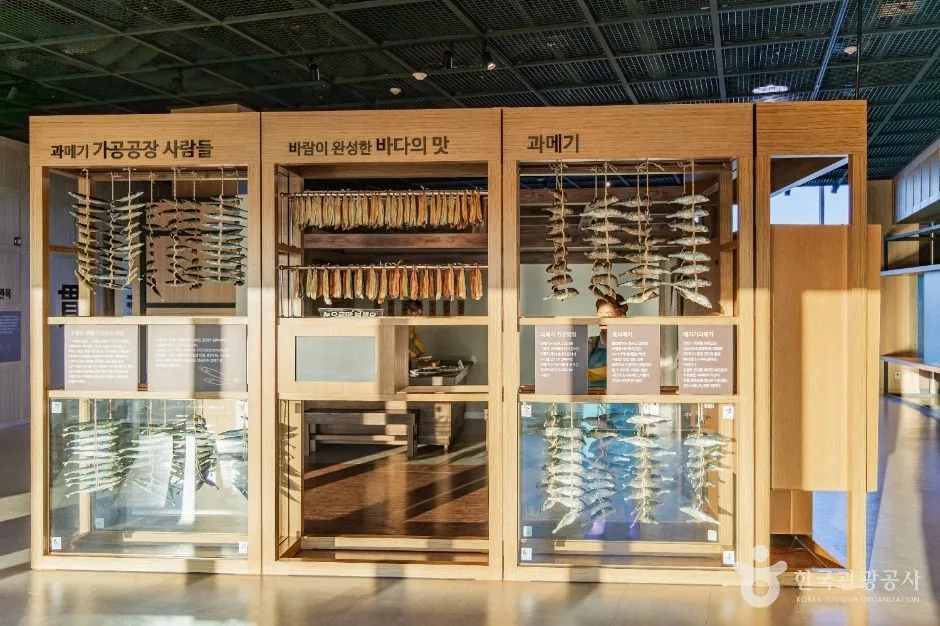 포항_구룡포과메기문화관 (6)