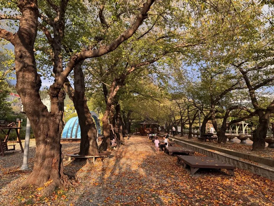 경화역공원