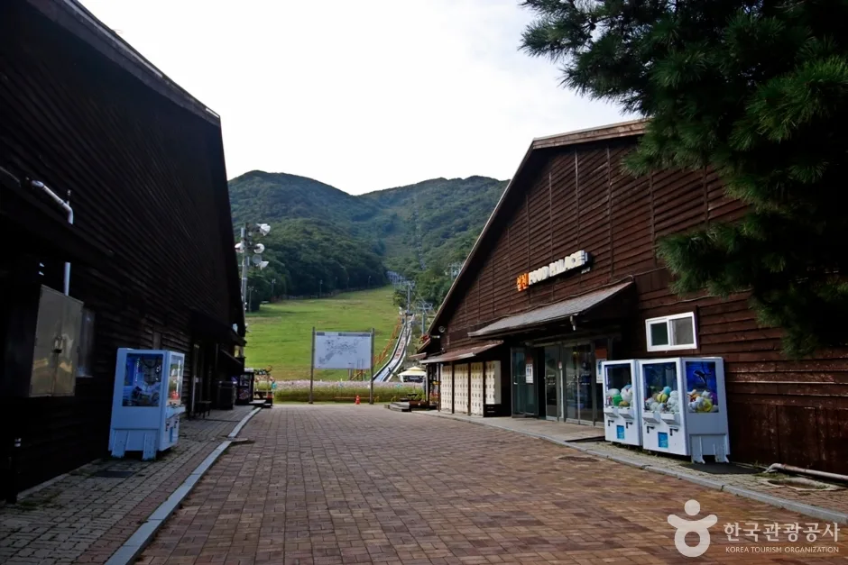 전북_무주_무주리조트 관광곤도라 (4)