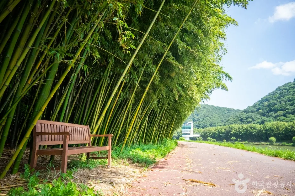 주전몽돌해변