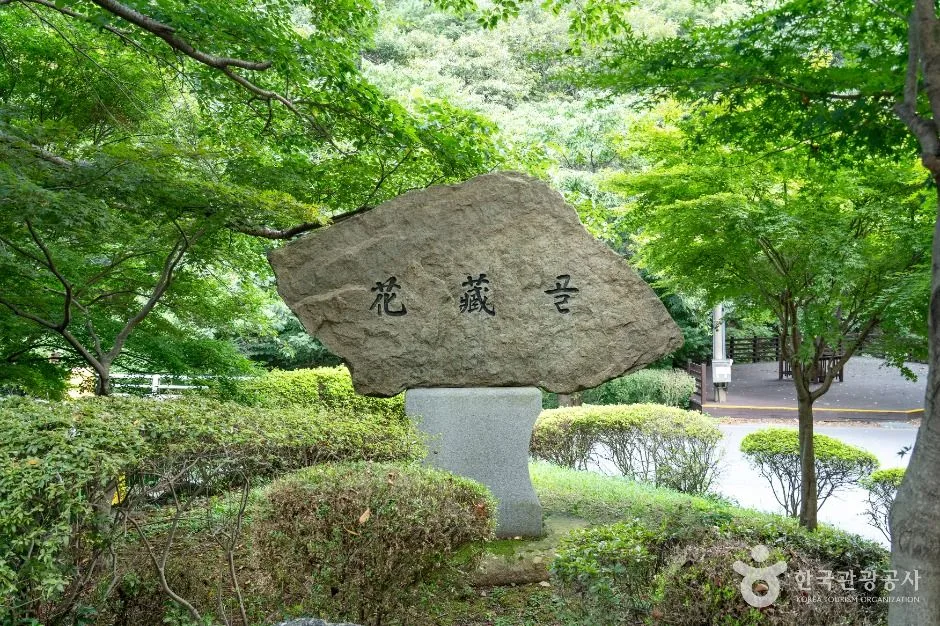 보령_화장골계곡 (4)