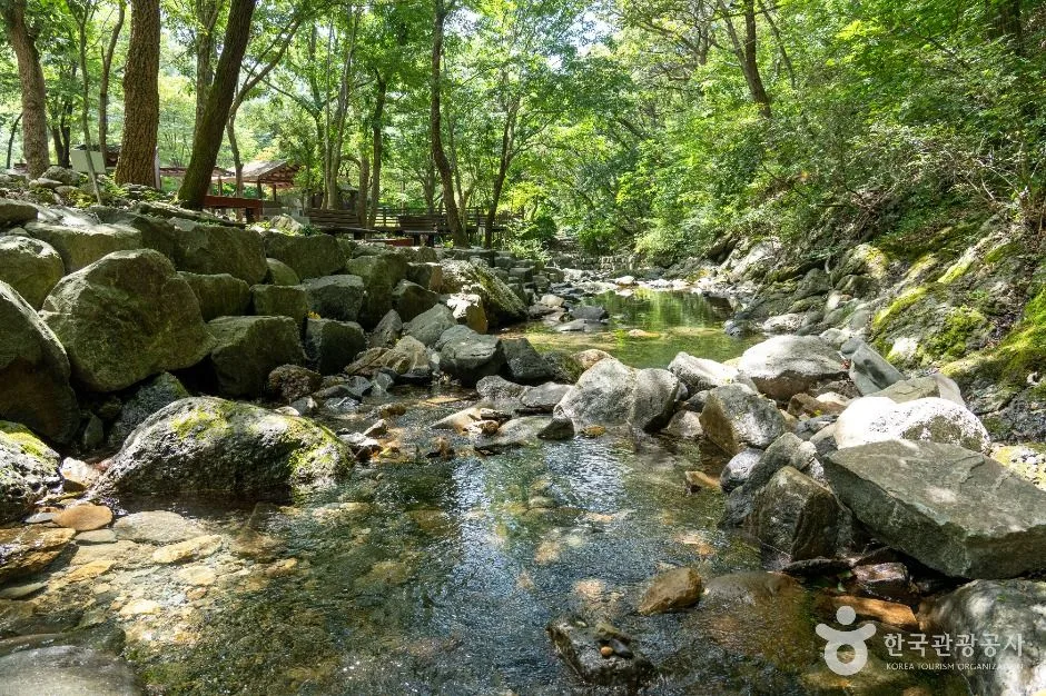 보령_화장골계곡 (6)