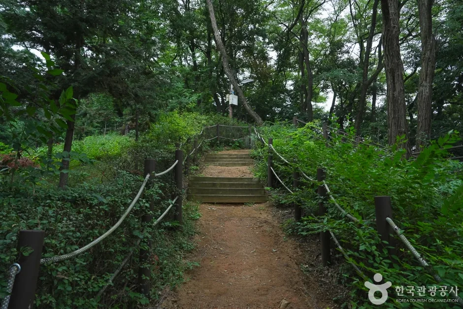 A04302_인천_계양_계양산 산림욕장(15)