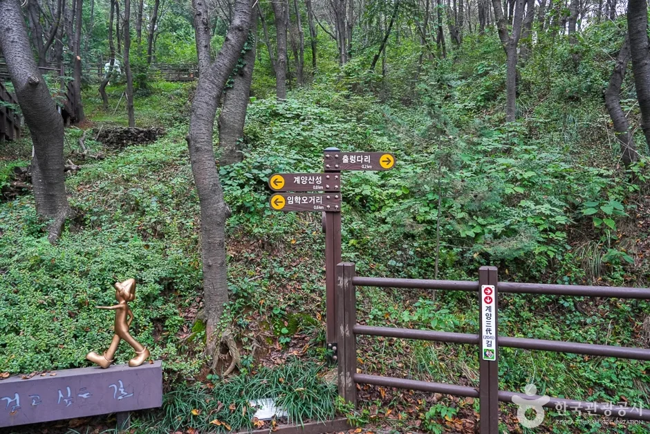 A04302_인천_계양_계양산 산림욕장(12)