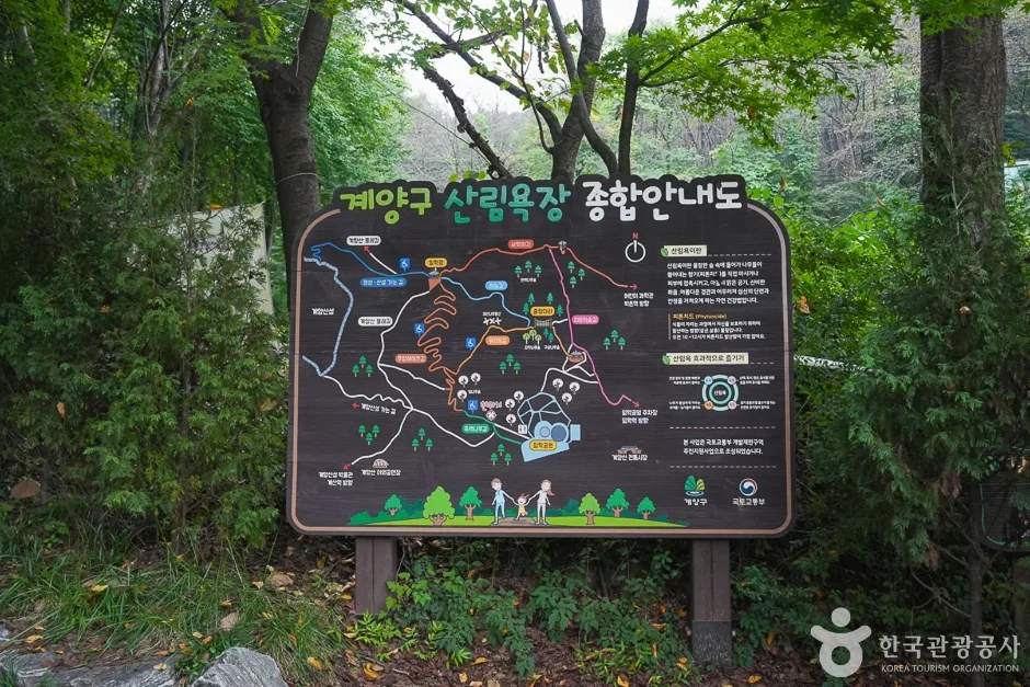 A04302_인천_계양_계양산 산림욕장(9)