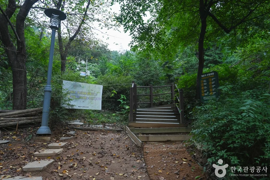 A04302_인천_계양_계양산 산림욕장(3)