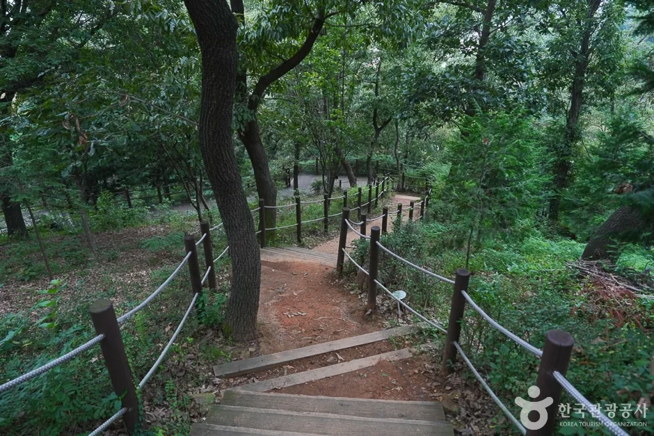 A04302_인천_계양_계양산 산림욕장(16)