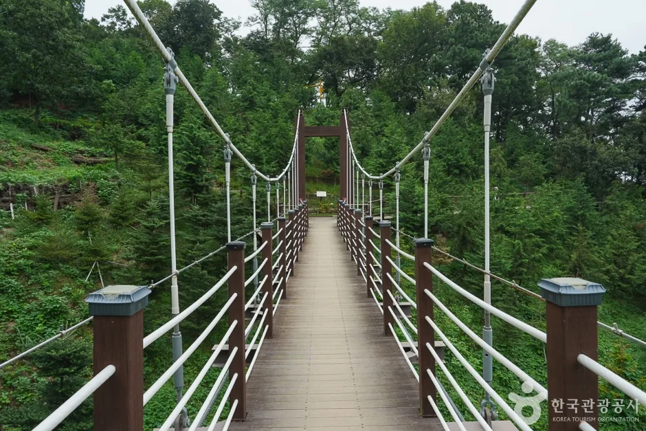 A04302_인천_계양_계양산 산림욕장(11)