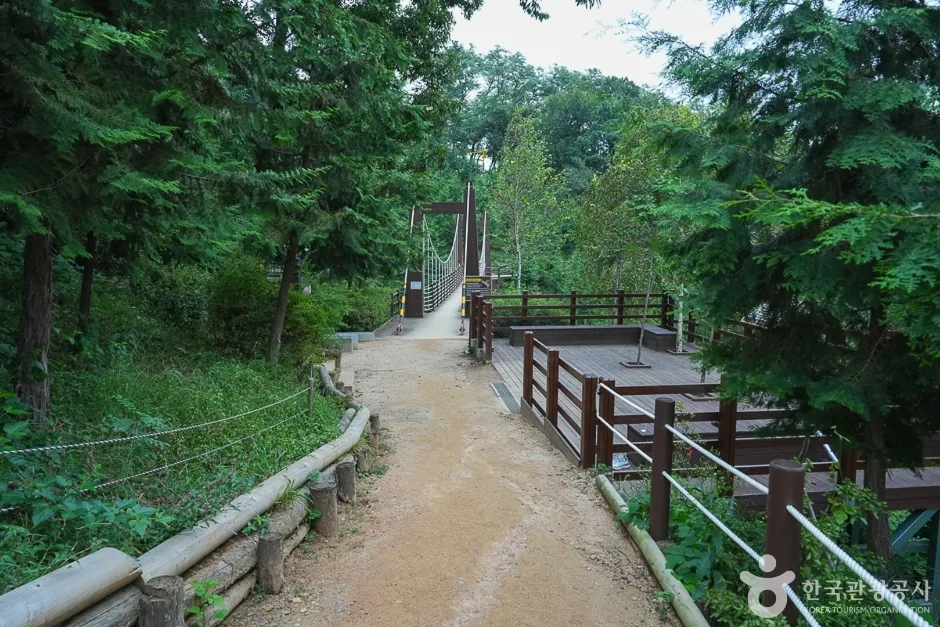 A04302_인천_계양_계양산 산림욕장(2)