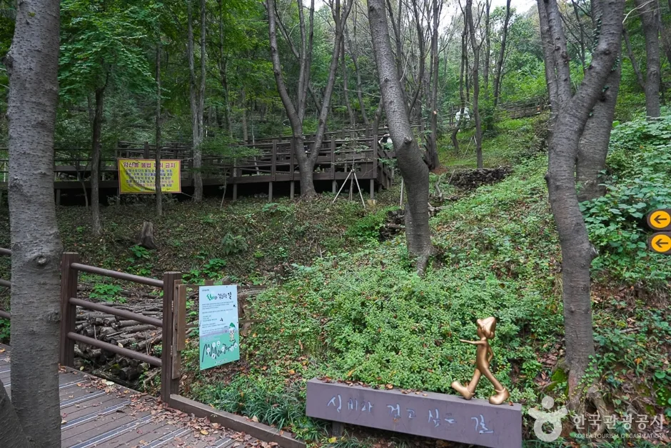A04302_인천_계양_계양산 산림욕장(10)