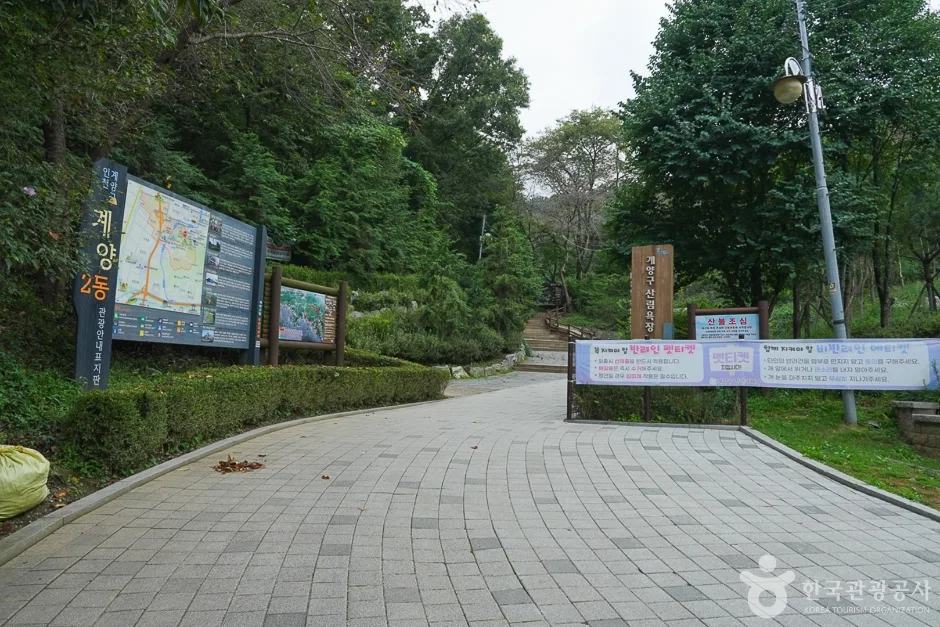 A04302_인천_계양_계양산 산림욕장(6)