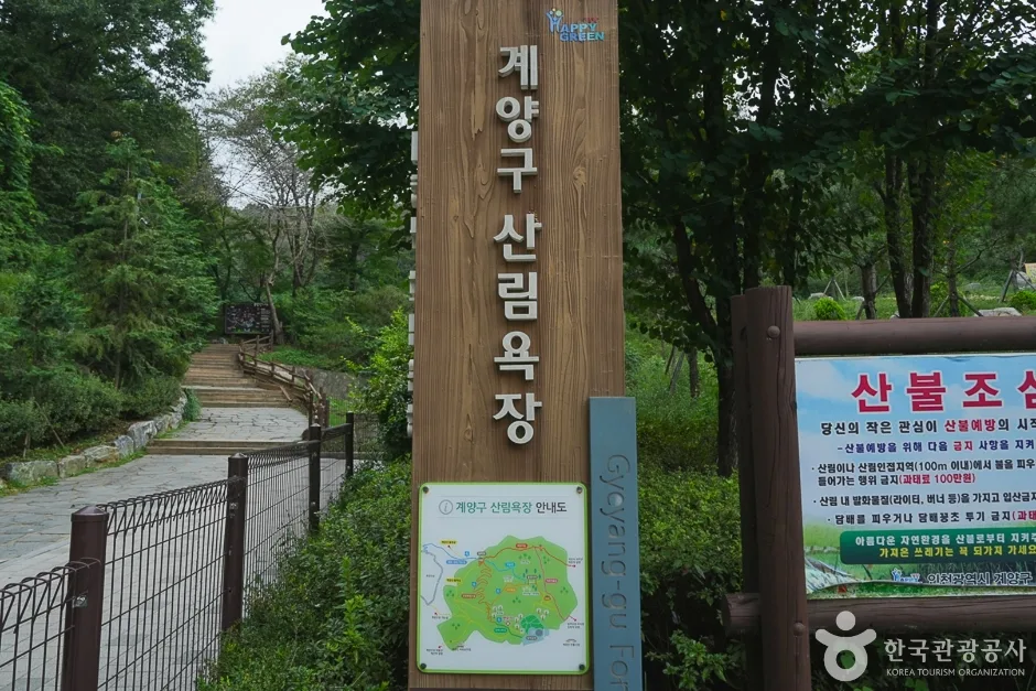 A04302_인천_계양_계양산 산림욕장(5)