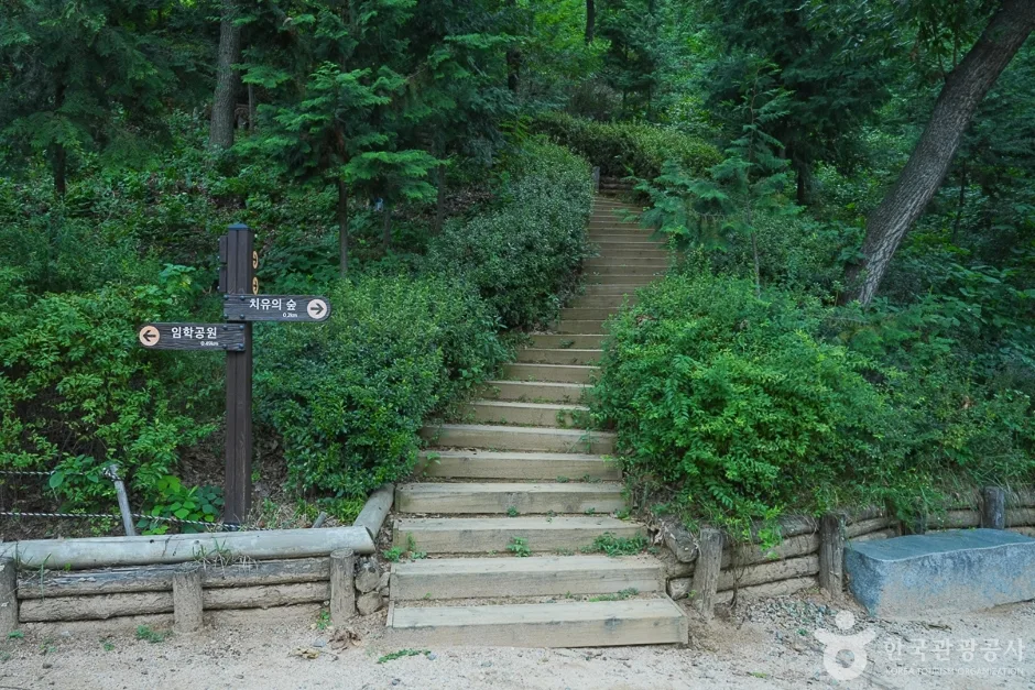 A04302_인천_계양_계양산 산림욕장(4)